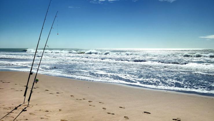 mare regole spiaggia sanzioni